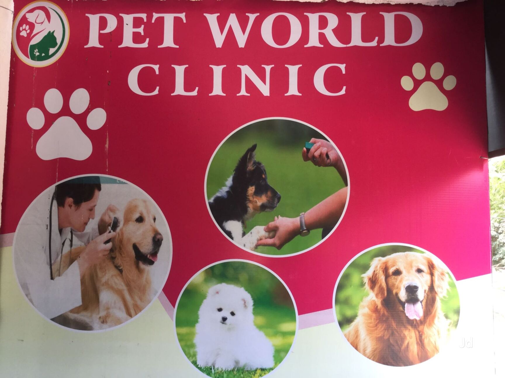 Top Veterinary Hospitals in Bellary Best Animal Hospitals Justdial
