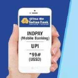 Indian Bank in Bhagalpur HO,Bhagalpur - Nationalised Banks near me ...