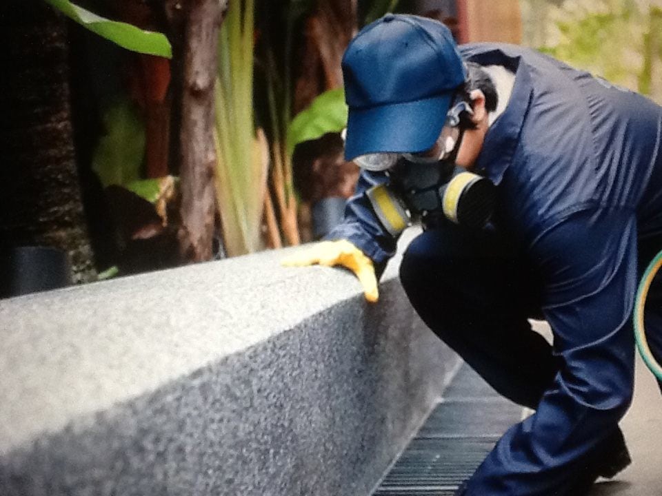 Top 20 Pest Control Services in Bhiwadi HO Best Residential Pest