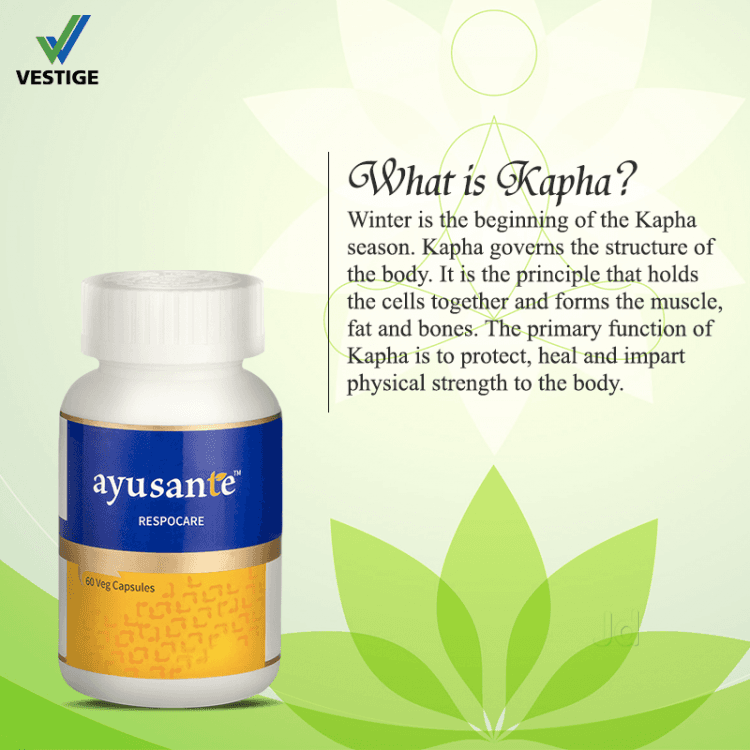 Vestige Products Ayodhya Nagar Health Care Product Distributors Vestige In Bhopal Justdial
