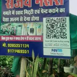 Sanjay Nursery in Katara Hills, Bhopal - Best Plant Nurseries in ...