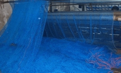 chilika fish net Chilika Fishnets Pvt Ltd in Mancheswar Industrial Estate, Bhubaneshwar -  Best Fishing Net Manufacturers in Bhubaneshwar