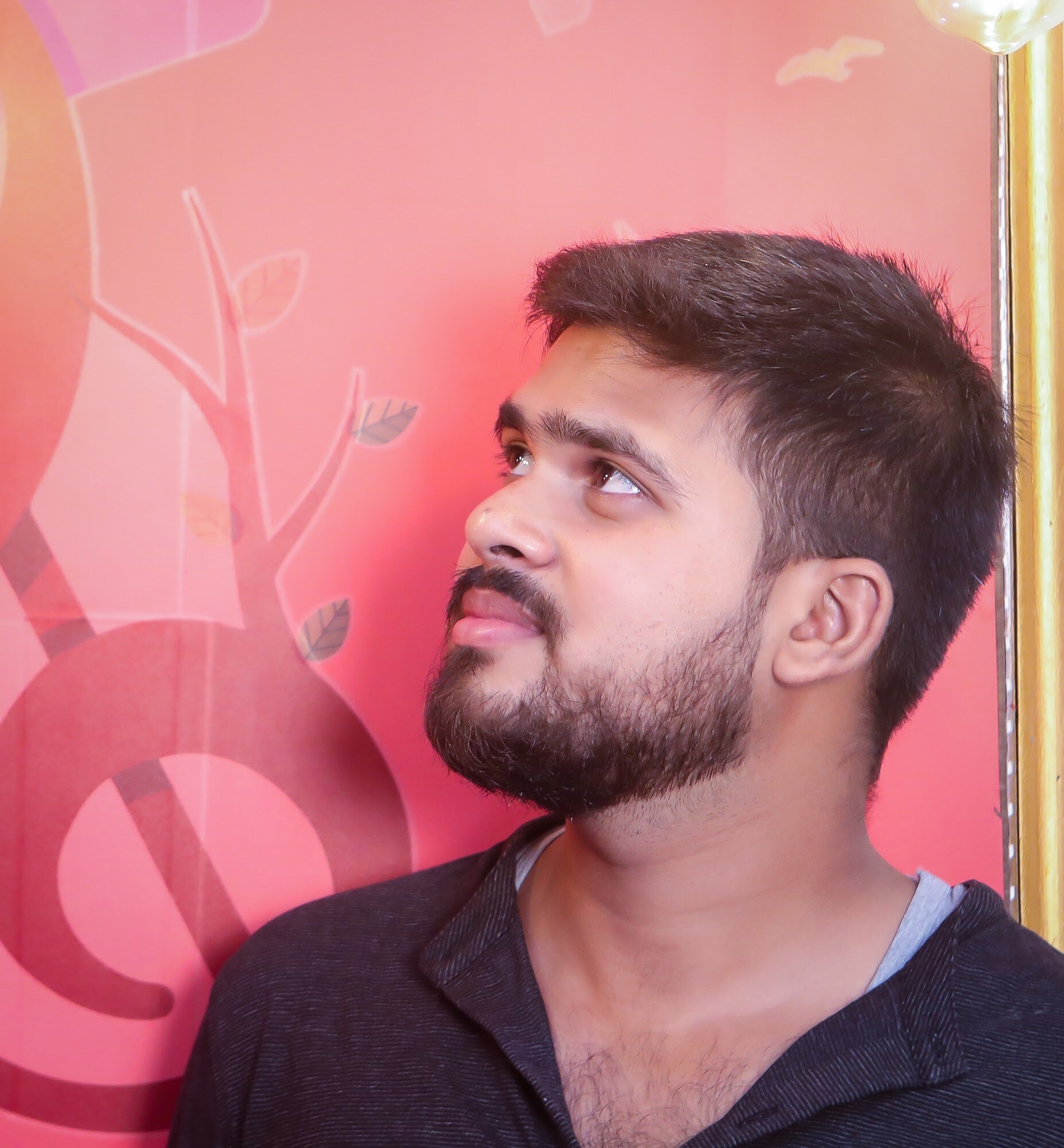 Catalogue Nandighosha Tv in Chandrasekharpur , Bhubaneshwar Justdial