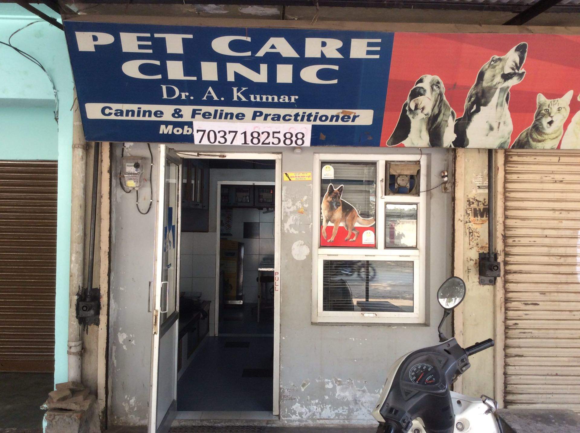 straight goldendoodle