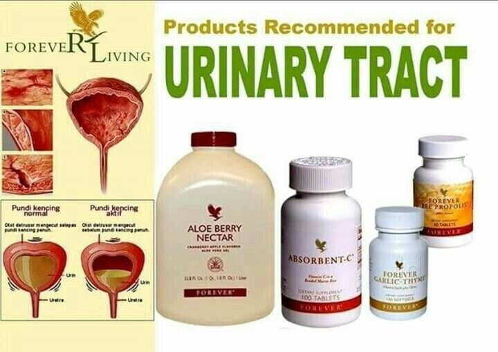 Forever Living Products Mohali Chandigarh Herbal Product Distributors In Mohali Chandigarh Justdial Your question might be answered by sellers, manufacturers statements regarding dietary supplements have not been evaluated by the fda and are not intended to.