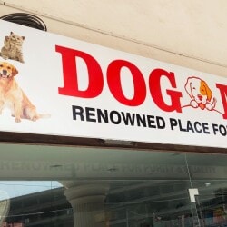 Dog mart near me hotsell