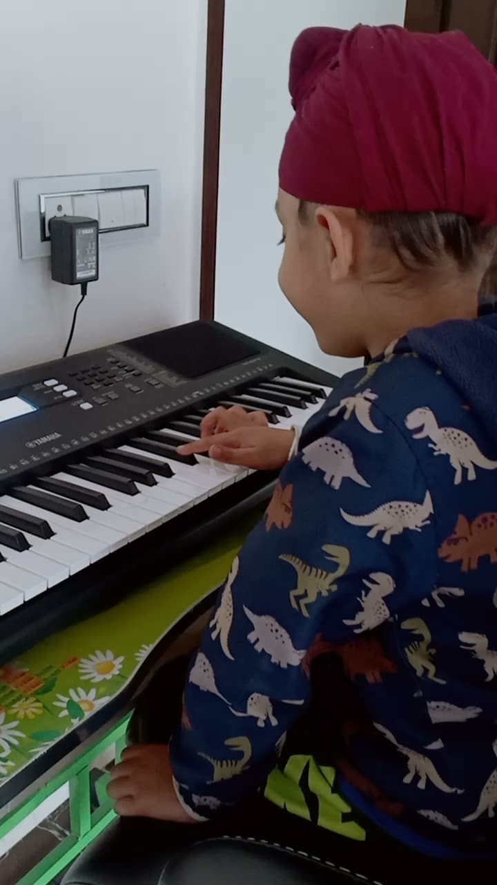 Top Music Classes For Sitar in Chandigarh Industrial Area Phase 8