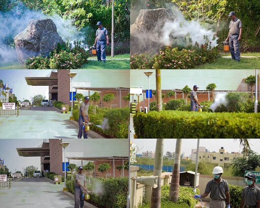 Hvl Pest Services Pvt Ltd Virugambakkam Residential Pest Control Services In Chennai Justdial