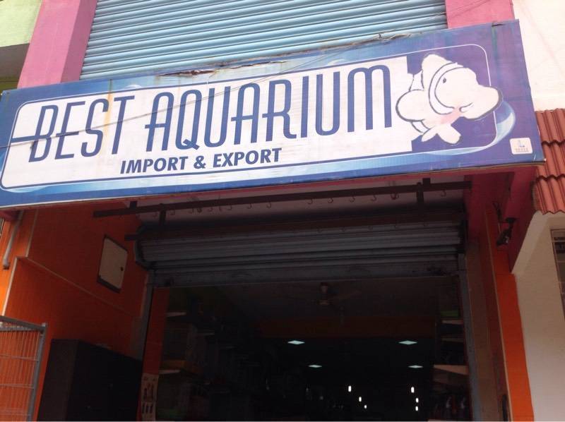 Catalogue Aquatic Remedies in Kolathur , Chennai Justdial