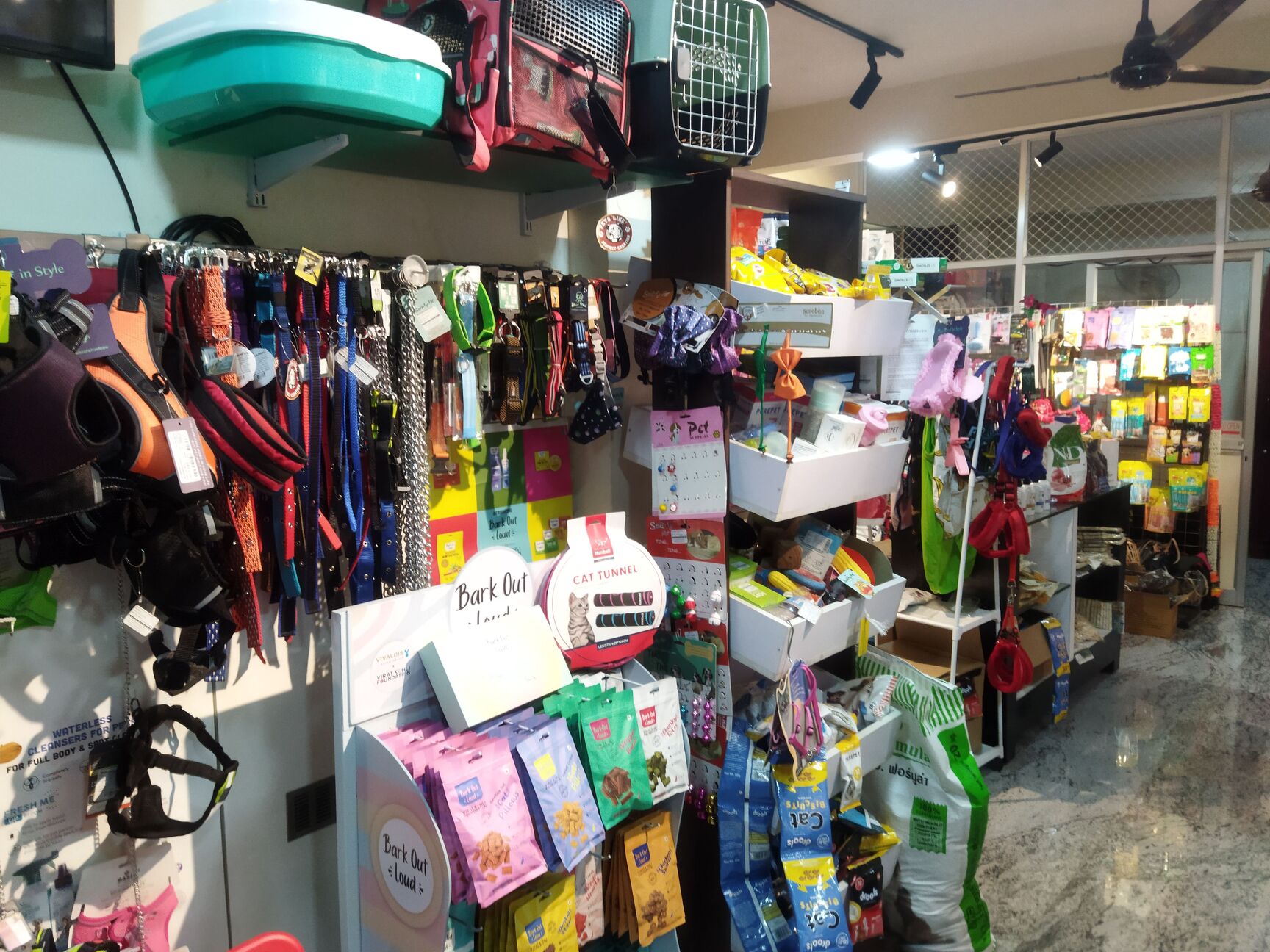 dutouron catalogue Pets & birds in palakkad ho,palakkad