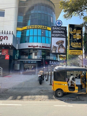 Sanchu Animal Hospital in Greames Road,Chennai - 𝗕𝗼𝗼𝗸 ...