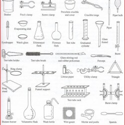 Biology Lab Equipment Names