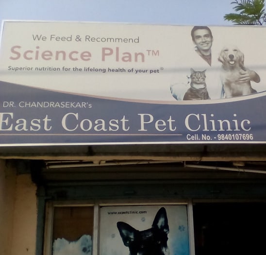 Thanigai pet best sale care hospital