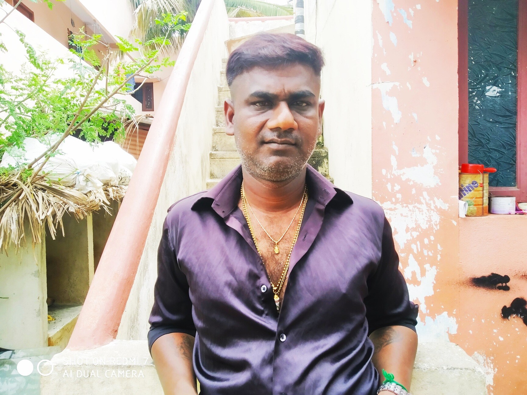 Top Pet Shops in Chennai Best Pet Store near me Justdial