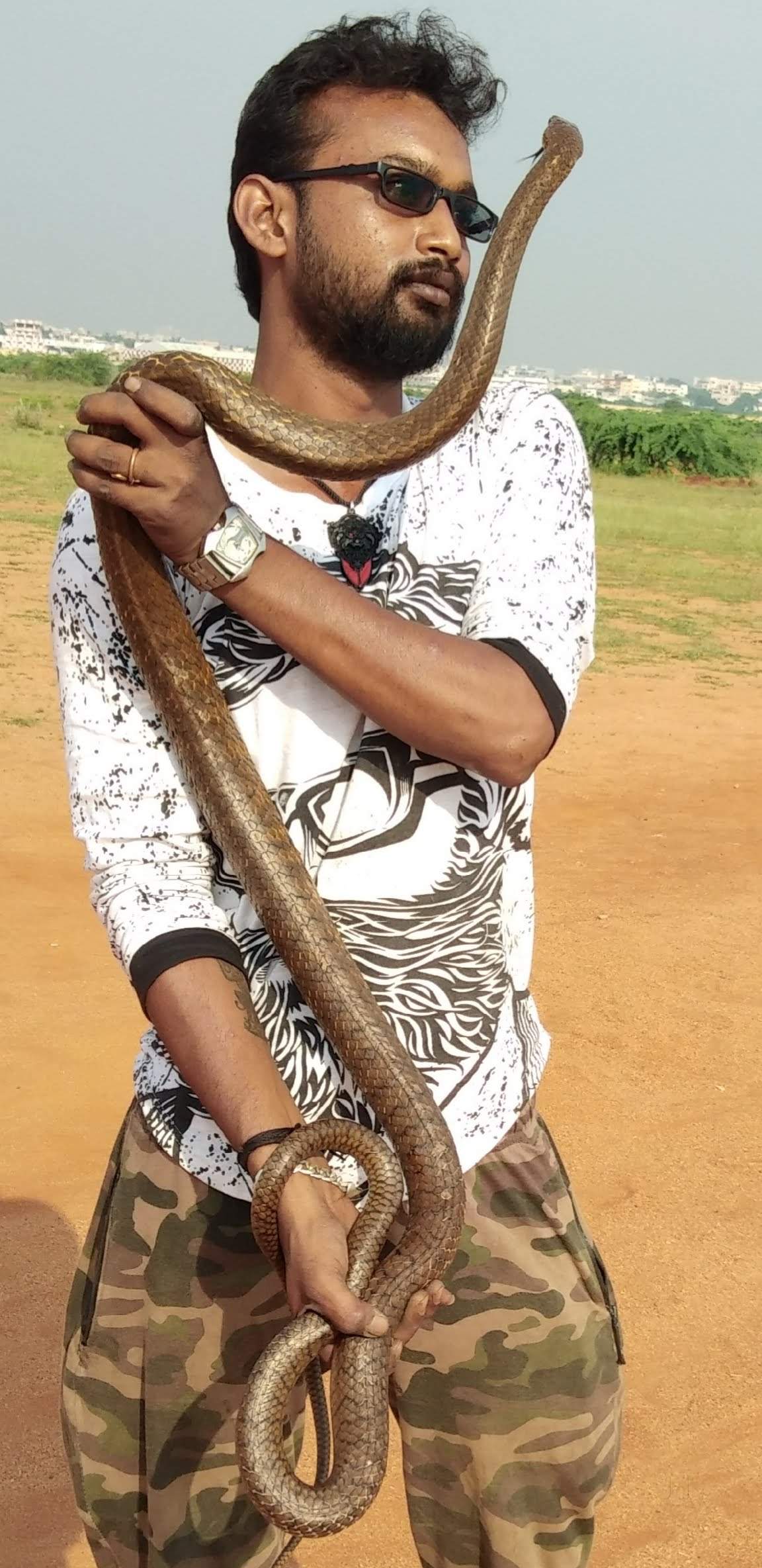 Top Snake Catchers in Coimbatore Best Snakes Hunters Justdial