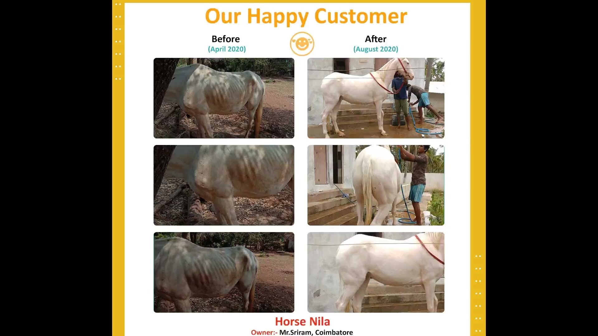 Horse Feed in Tirunelveli - Nutritious Equine Nutrition and Premium Feed -  Justdial Verified
