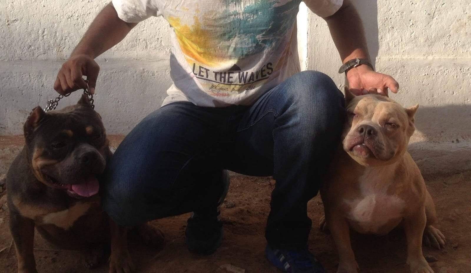 Top Veterinary Clinics in Saibaba Colony Best Clinics For Pets Coimbatore Justdial