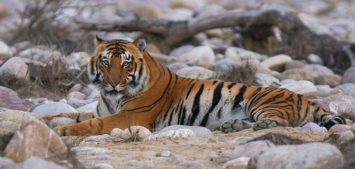 Top Tv Serial Production Houses in Sitarganj - Best Television ...