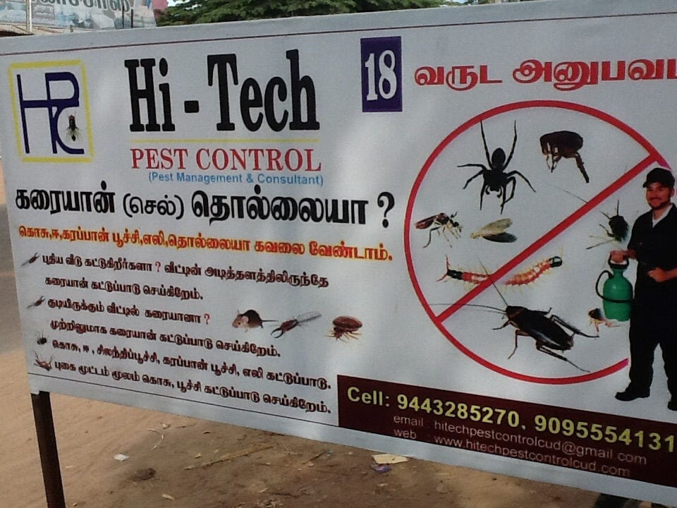 Cockroach Pest Control Services in Manjakuzhi, Cuddalore - Home ...