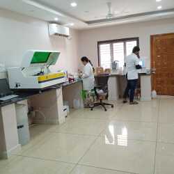 Lab view 2