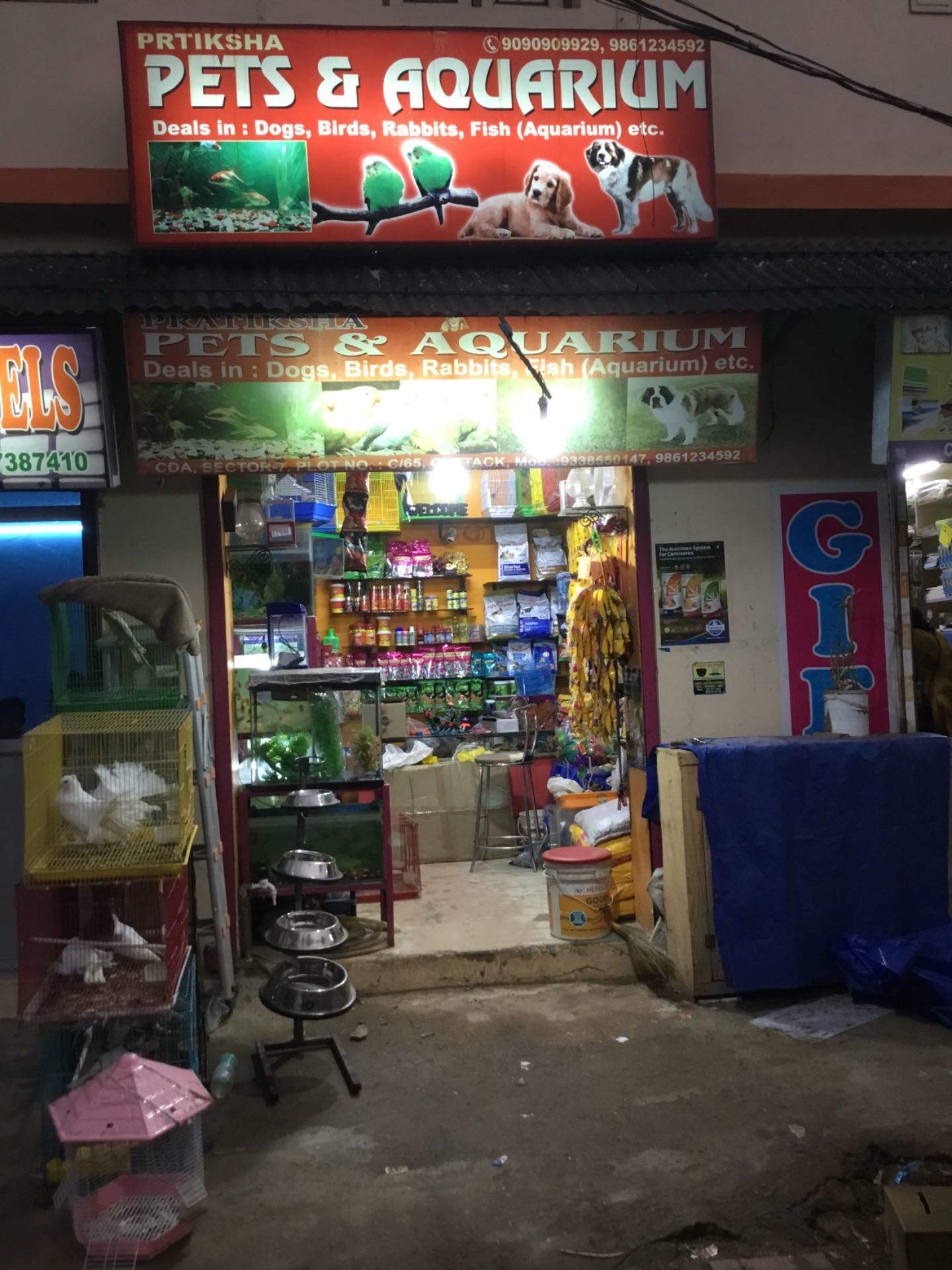 Top Pet Care Takers in Cuttack Best Dog Care Takers Justdial