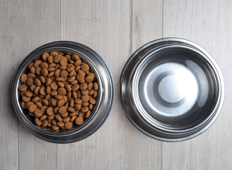 Energy Farnoration in Hapur Mandi, Hapur - Best Animal Feed Supplement ...