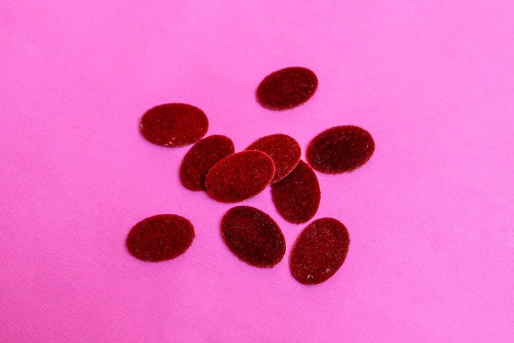 Plain Red Bindi Red Bindi Price Starting From Rs Find