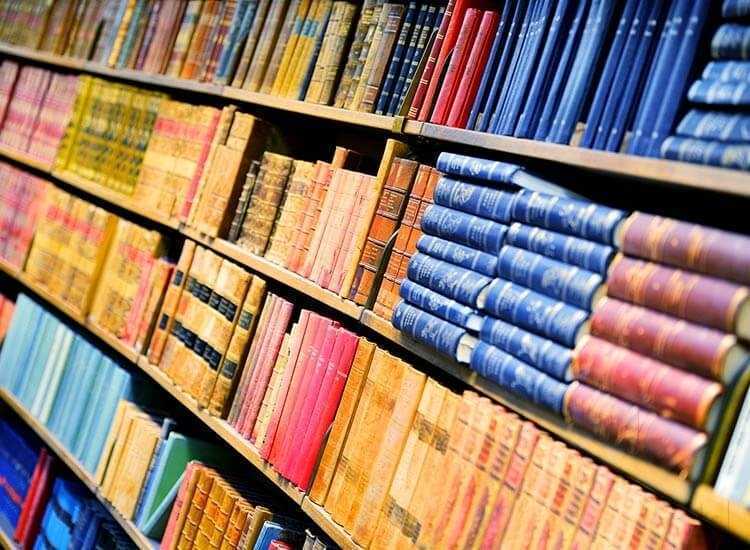 Top Palmistry Books in Coimbatore Best Books Palmistry Justdial