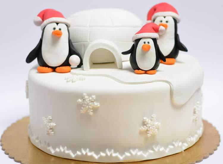 Cake Ladies Inner Wear in Bokaro Dealers, Manufacturers