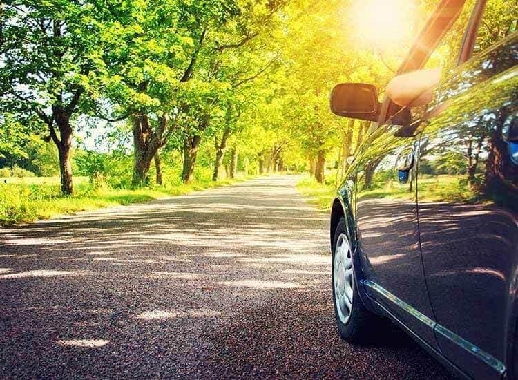 Top 100 Travel Agents in Cheyyar Best Tour Operators Justdial