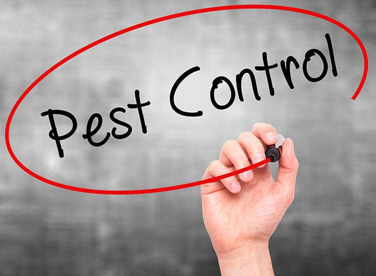 Top 100 Pest Control Services in Hyderabad Best Residential Pest