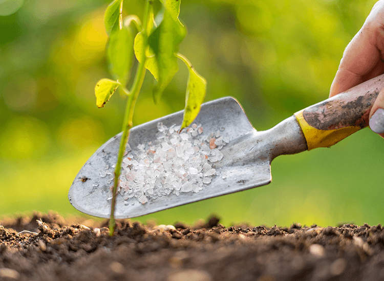 Top Fertilizer Dealers in Gudivada Best Fertilizer Retailers Justdial