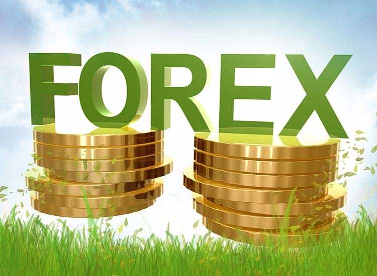 Top 100 Foreign Exchange Dealers In Sultan Palya Best Currency Foreign Exchange Agents In Sultan Palya Bangalore