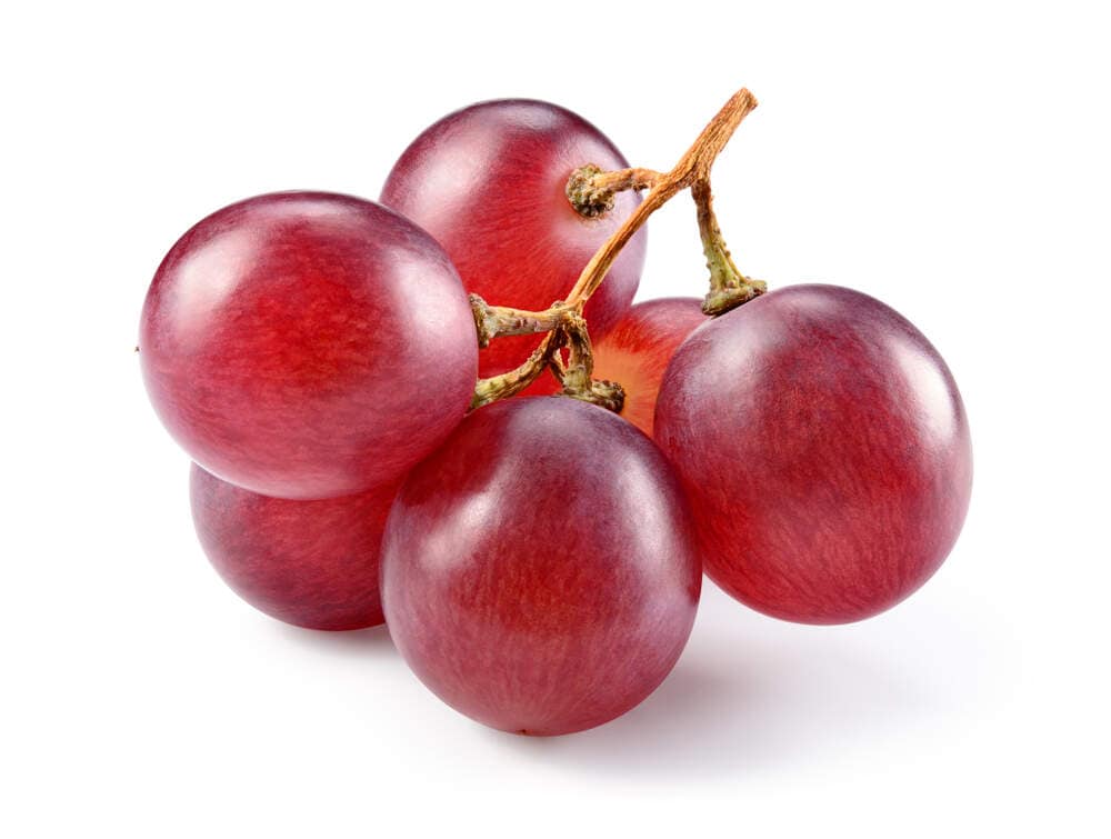Thane Def Nutri Fact in Dombivli East, Thane - Best Fruit Wholesalers in Thane ...