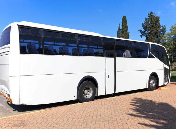 Rect Bus Top Bus On Hire in Jamshedpur - Best Traveller Bus On Rent - Justdial