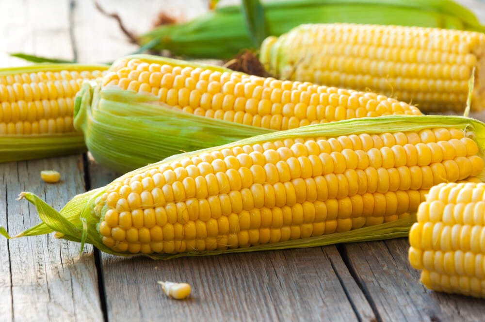 South Kings Pvt Ltd in Ernakulam - Best Maize Corn Wholesalers in ...