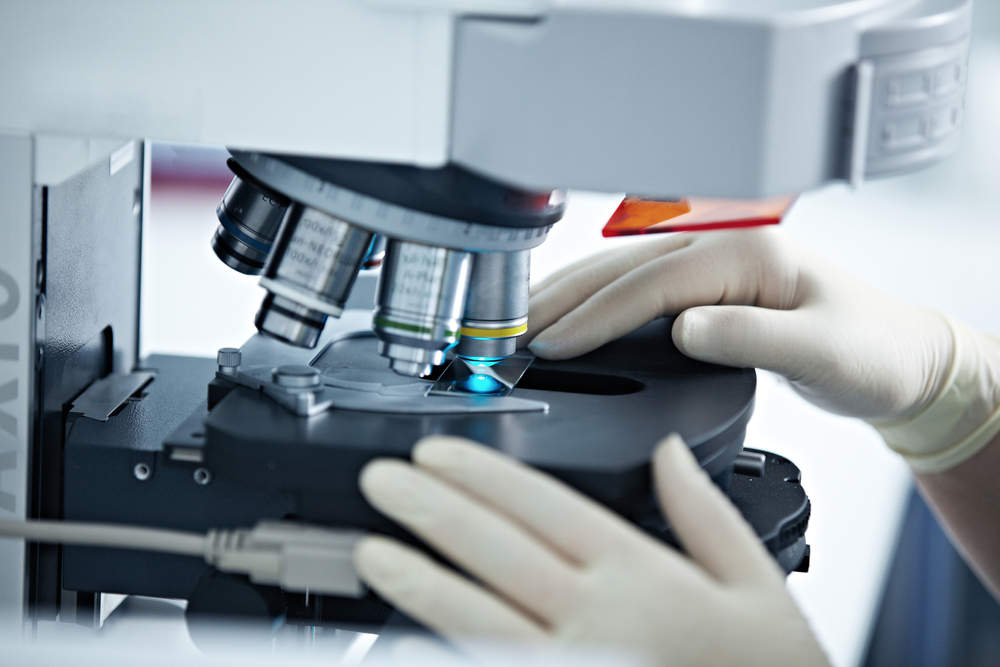 Salus Laboratories Pvt Ltd in Old Guntur, Guntur - Best Micro Structure ...