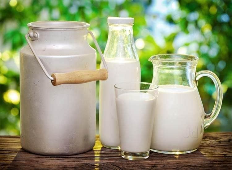 Top 20 Milk Home Delivery Services in Kolkata Justdial