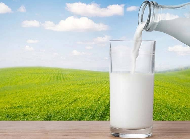 Top Milk Retailers in Igatpuri Best Milk Suppliers Nashik Justdial