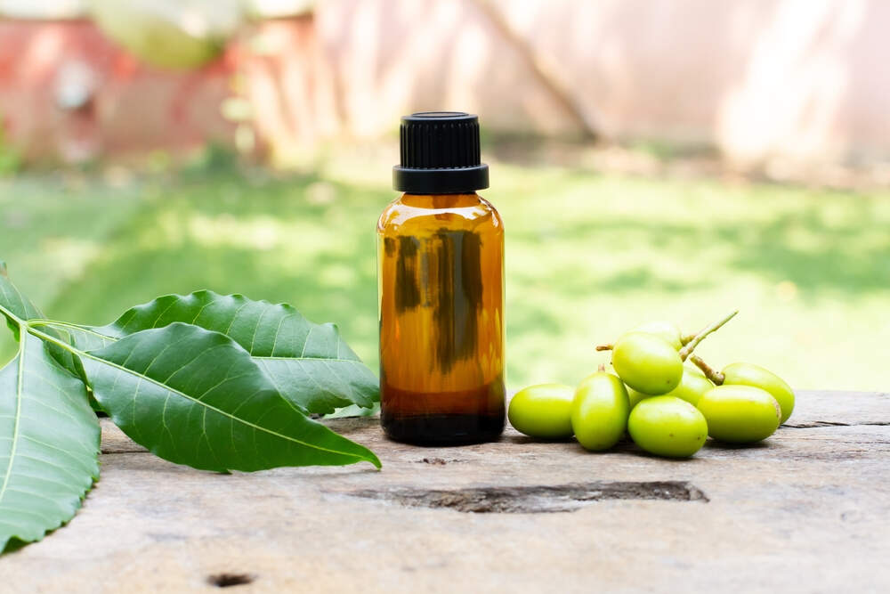 Veg India Exports in Erode Fort, Erode - Best Neem Oil Manufacturers in ...