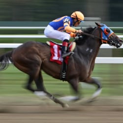 Top Race Course in Mannuthy Thrissur near me Justdial Top Race Course in Mannuthy Thrissur near me Justdial
