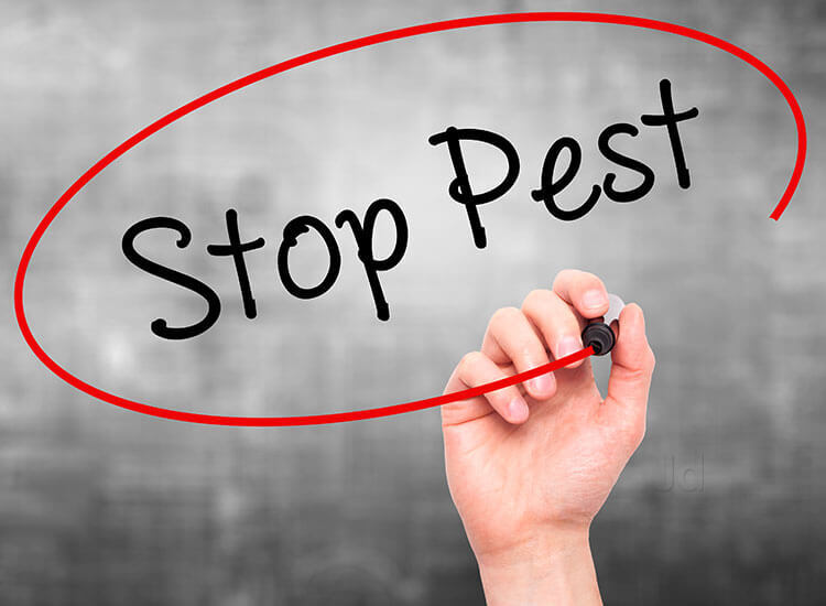 Top 100 Pest Control Services in Ludhiana Best Residential Pest