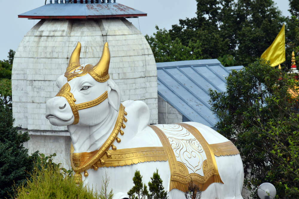 Baby Moo Kids Toys Baby Moo Baccho Ka Khilona Price Starting