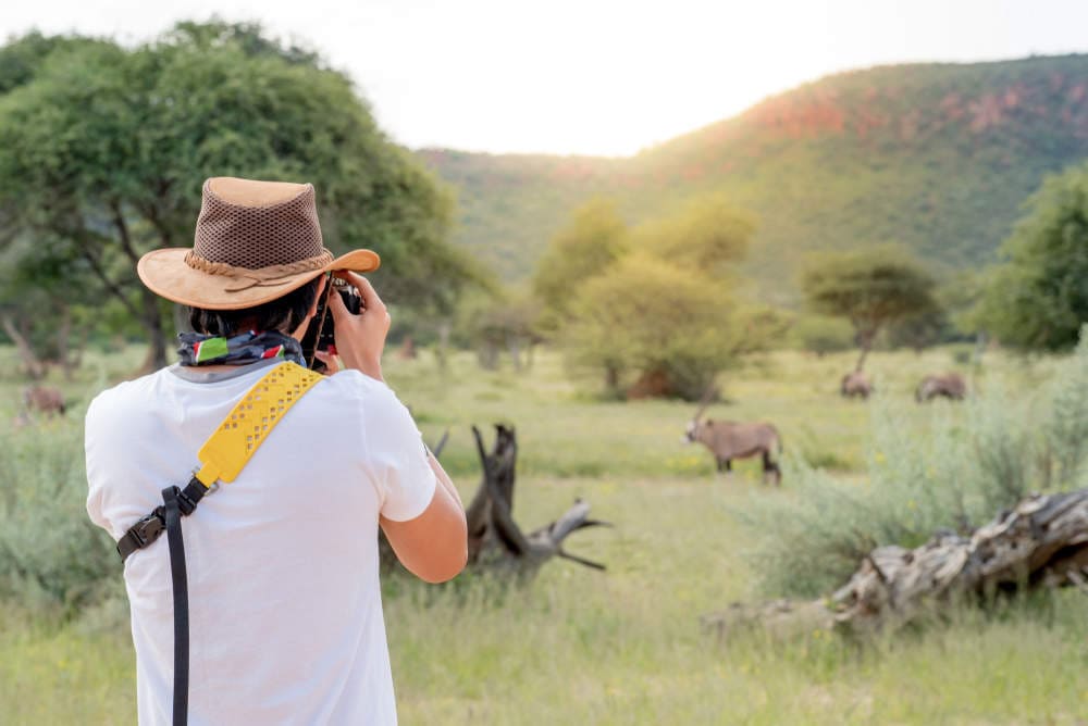 Wildlife Photography Services