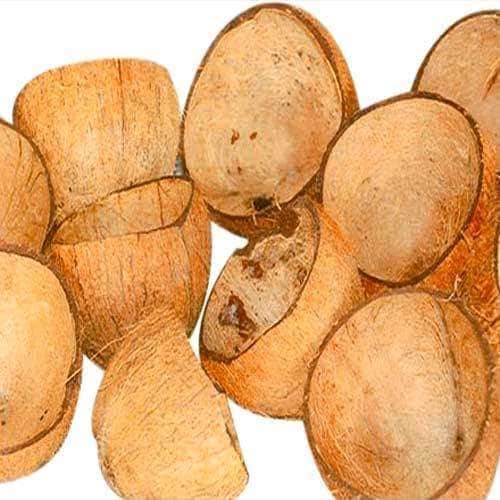 Sri Murugan Coconut Shell Agency in Kca Nagar, Gobichettipalayam - Best ...