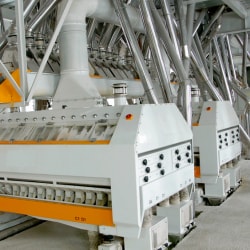 Priyanka Flour Mill Aata Chakki in Ramna Maroti Nagar-Ishwar Nagar ...