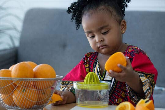 Hand Juicer in Patna Compact, Efficient Durable Justdial