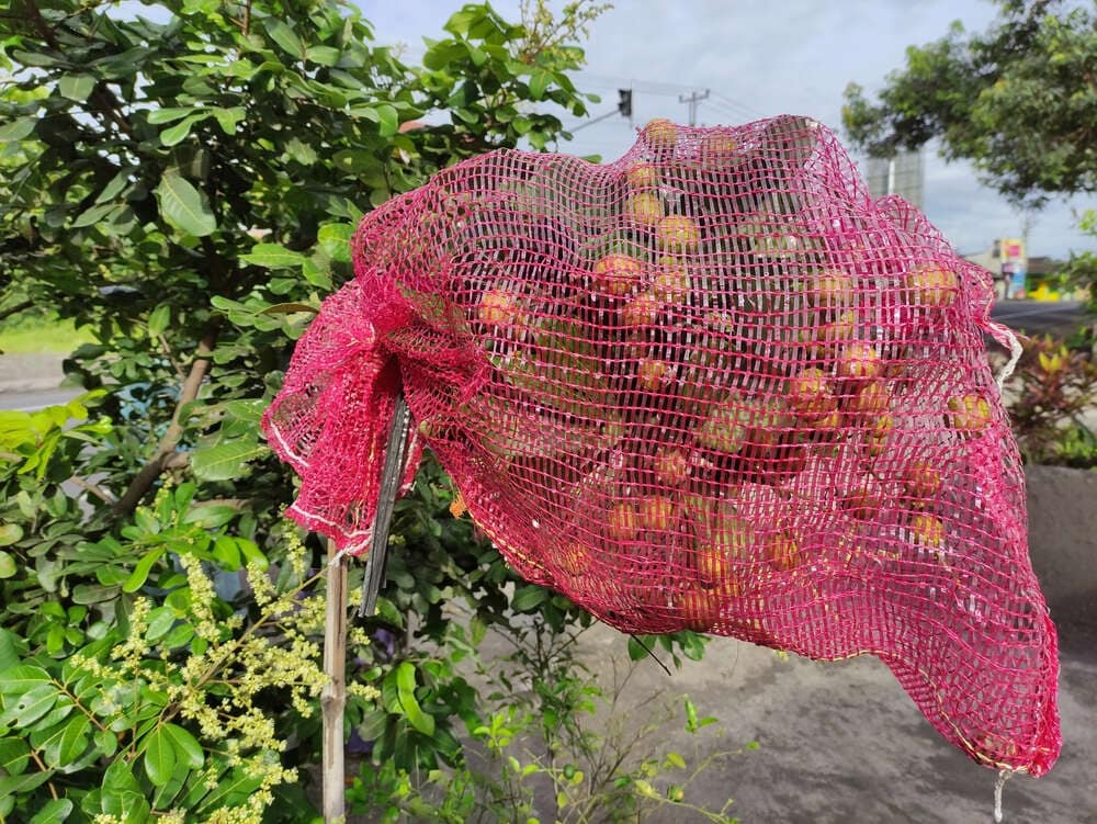 Tubular Leno Bag in Betul Durable, Lightweight, Versatile