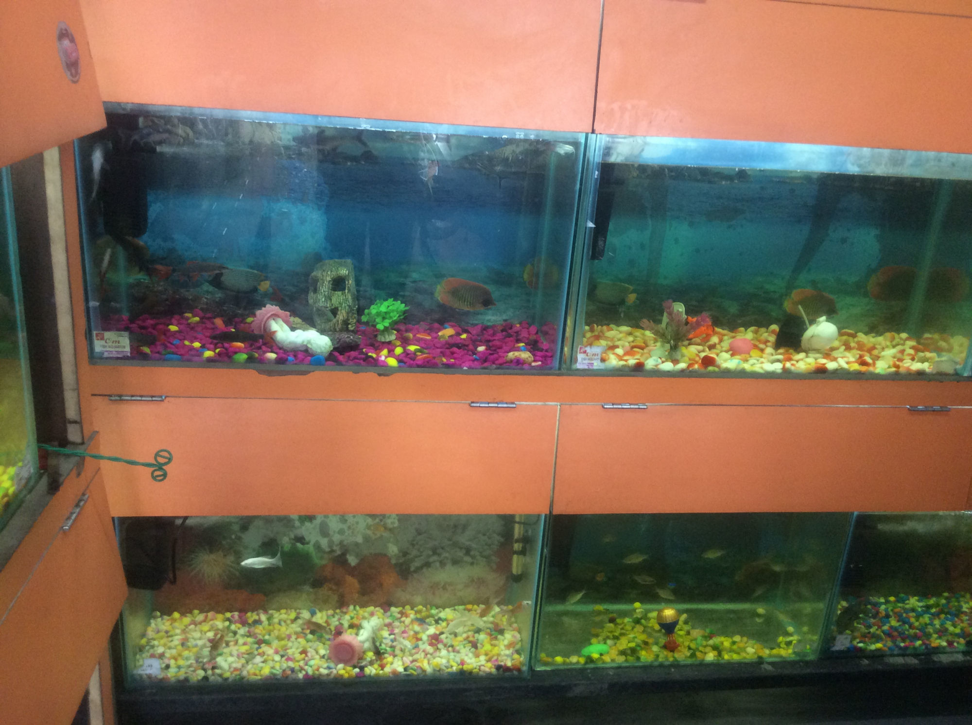 aquarium centers near me