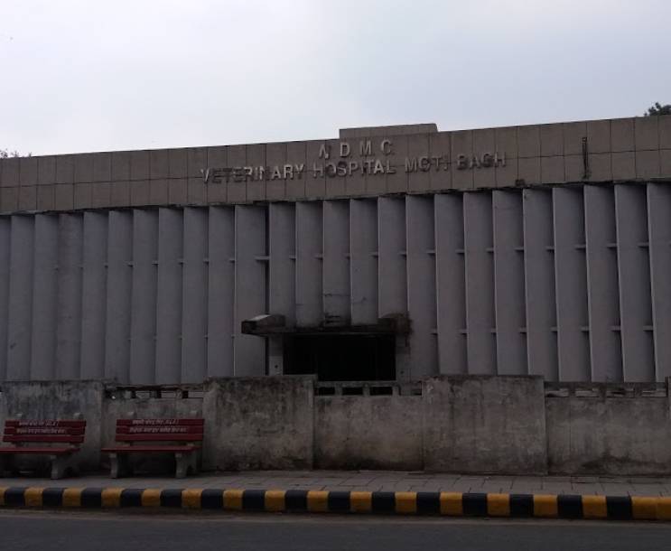 Sanjay Gandhi Animal Care Centre Raja Garden Veterinary Hospitals In Delhi Justdial
